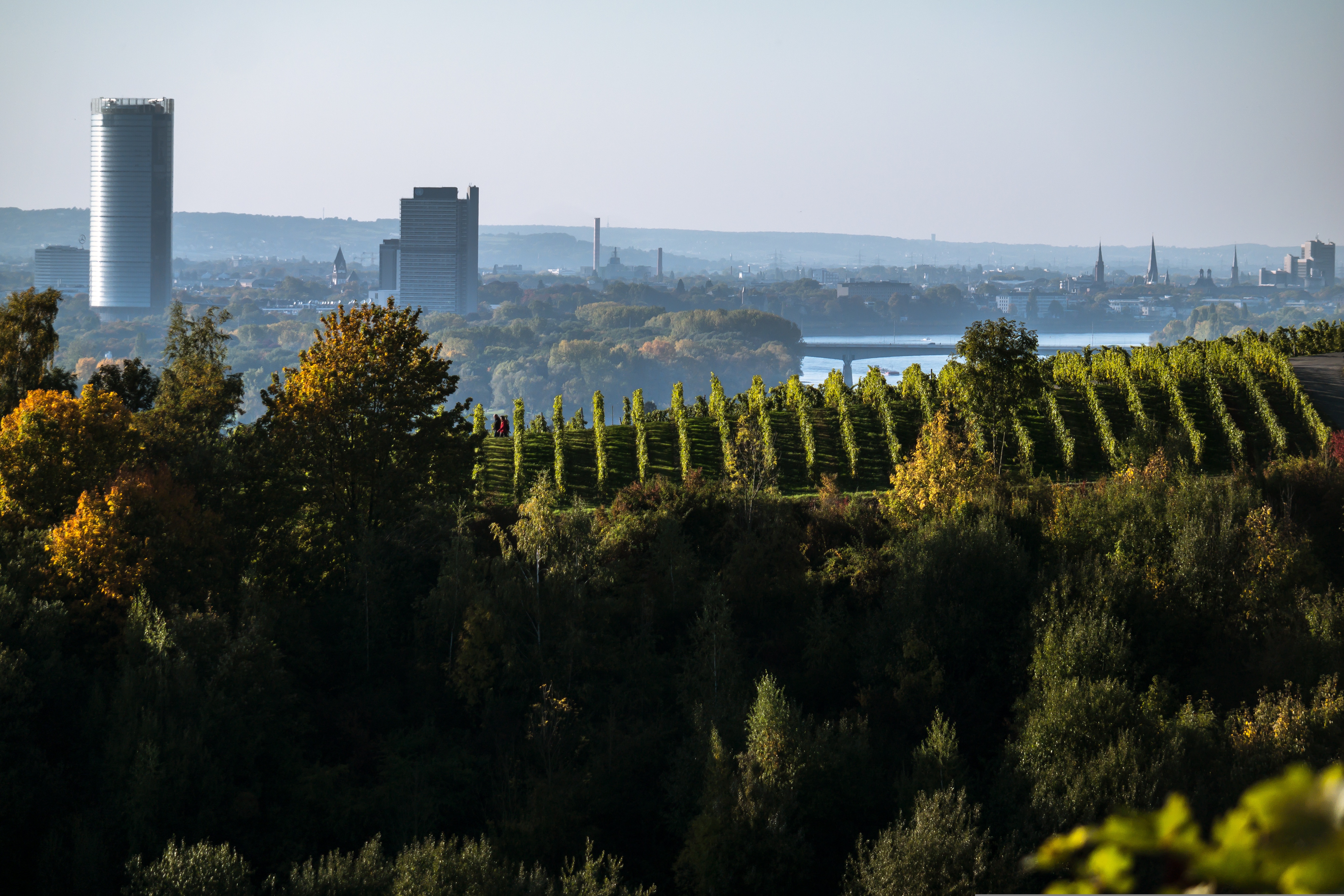 Bonn skyline
